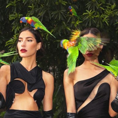 The Veronicas