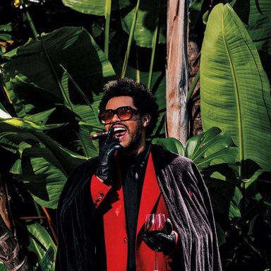 The Weeknd photo 27