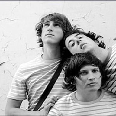The Wombats photo 15