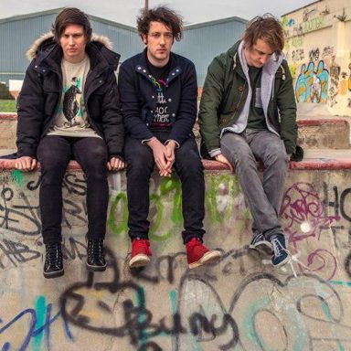The Wombats photo 10