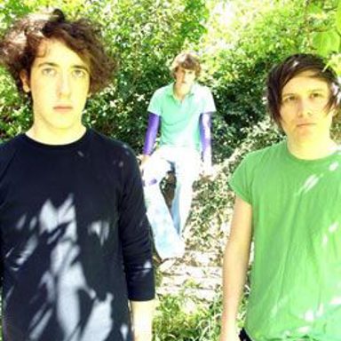 The Wombats photo 12