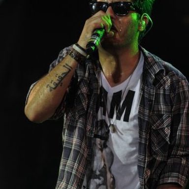 Tomate photo 16