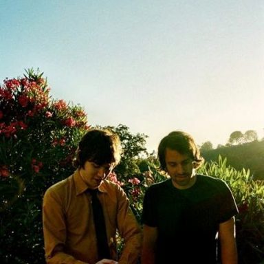 The Young Veins
