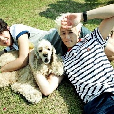 U-Kiss photo 25