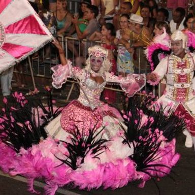 Unidos do Jacarezinho
