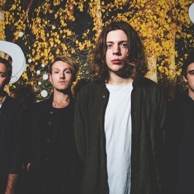 Vant