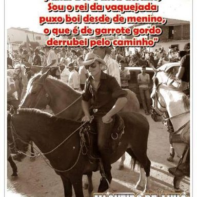 Vaqueiro de Luxo