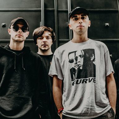 Vein