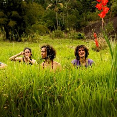 Vício Primavera