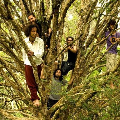 Vício Primavera