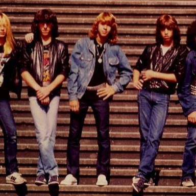 Viper photo 9