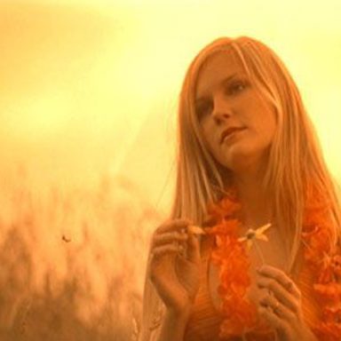 Virgin Suicides