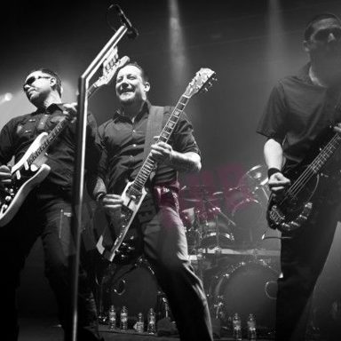 Volbeat photo 17