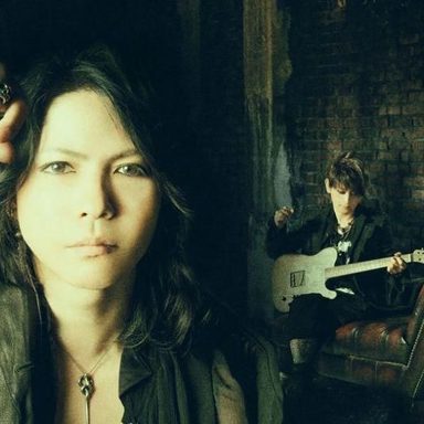Vamps