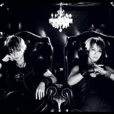 Vamps