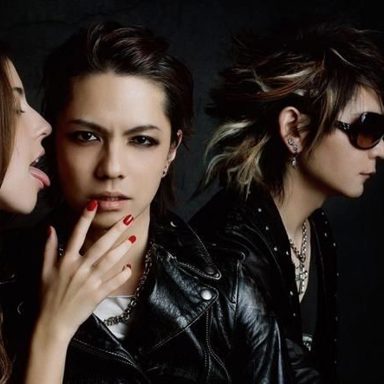 Vamps photo 16