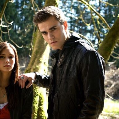 Vampire Diaries photo 51