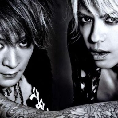 Vamps