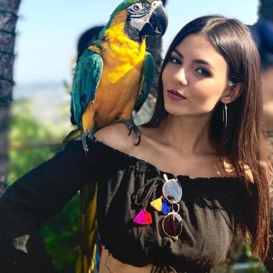 Victoria Justice photo 58