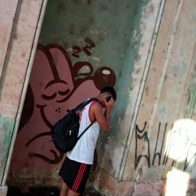 WD Gringo