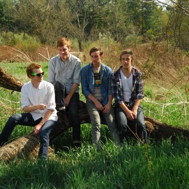 Wild Nothing