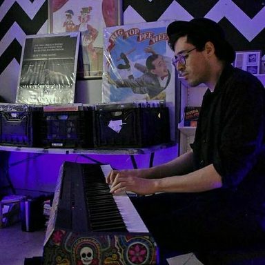 Will Wood And The Tapeworms photo 11