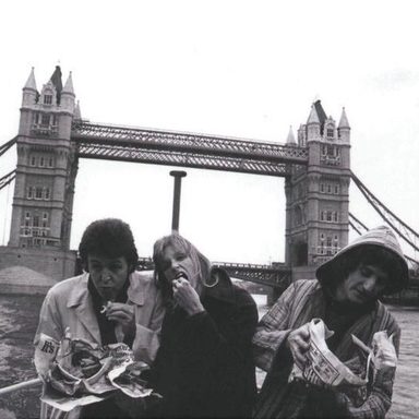 Wings photo 9
