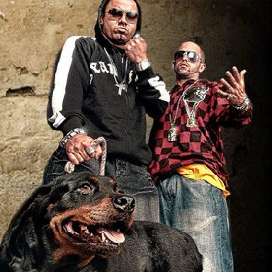 Wisin & Yandel
