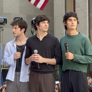 Wallows