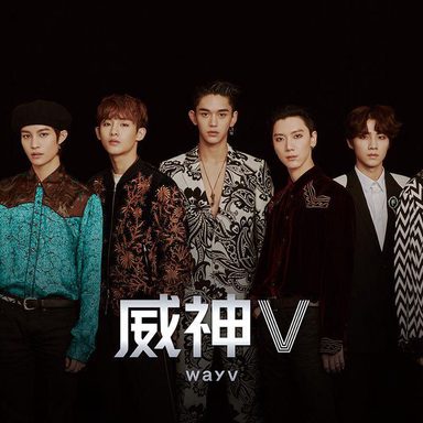 WayV photo 20