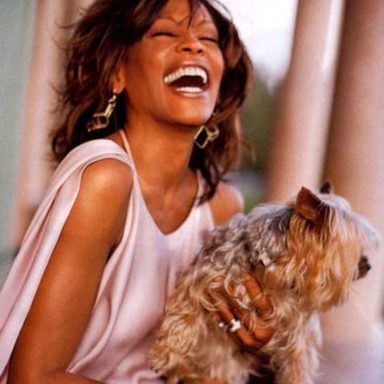 Whitney Houston photo 253