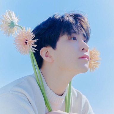 Youngjae (Ars)