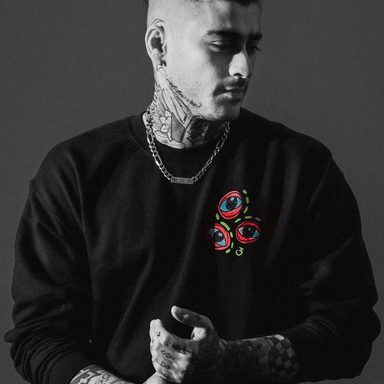 ZAYN photo 69