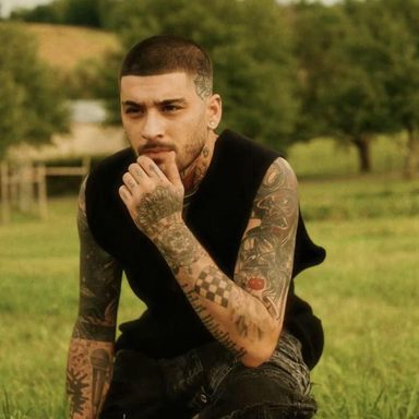 ZAYN photo 41