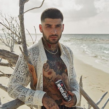 ZAYN photo 37