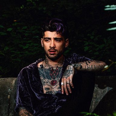 ZAYN photo 135