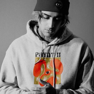 ZAYN photo 64