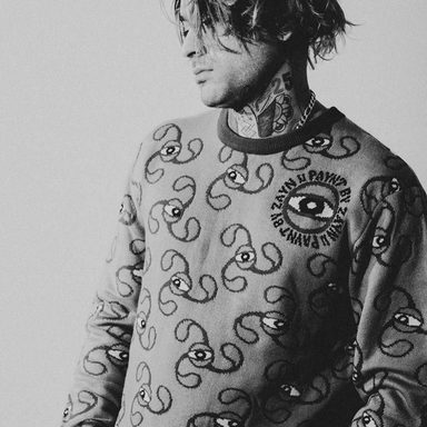 ZAYN photo 55