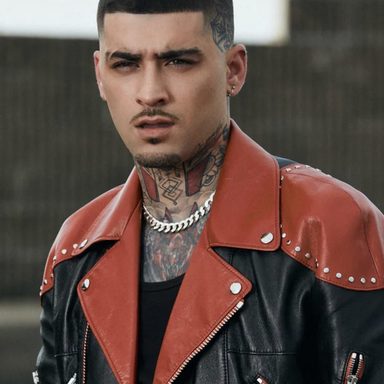 ZAYN photo 101