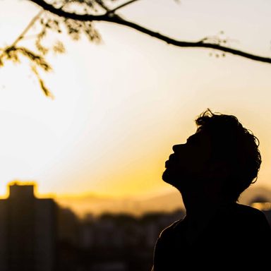Zé Leônidas