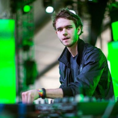 Zedd photo 35